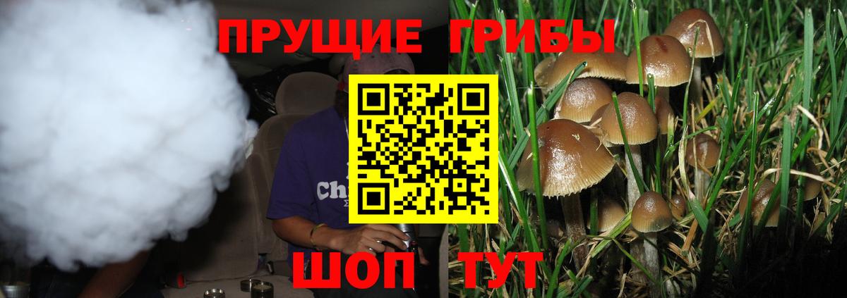 Псилоцибиновые грибы ЛСД  Вход с VPN  Галлюциногенные грибы ЛСД  Алейск 